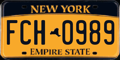 NY license plate FCH0989