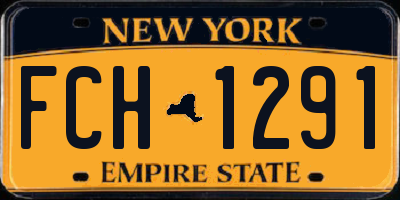 NY license plate FCH1291