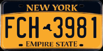 NY license plate FCH3981