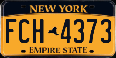 NY license plate FCH4373