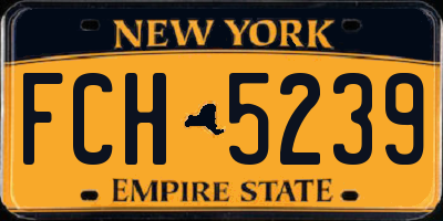 NY license plate FCH5239