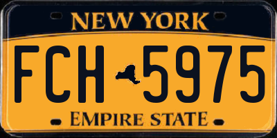 NY license plate FCH5975