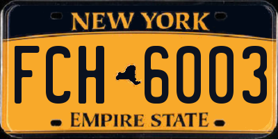 NY license plate FCH6003