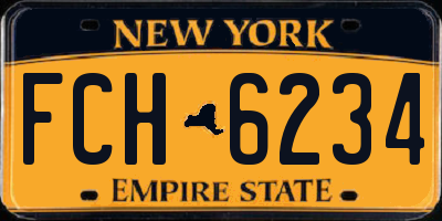 NY license plate FCH6234