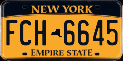 NY license plate FCH6645