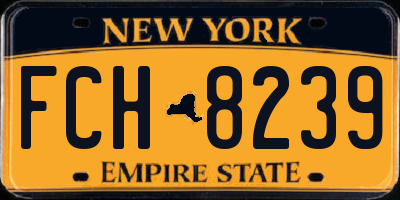 NY license plate FCH8239
