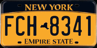 NY license plate FCH8341