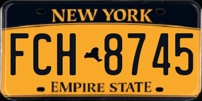 NY license plate FCH8745