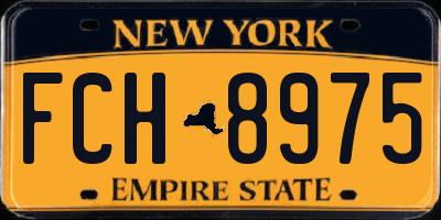 NY license plate FCH8975