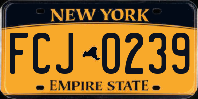NY license plate FCJ0239