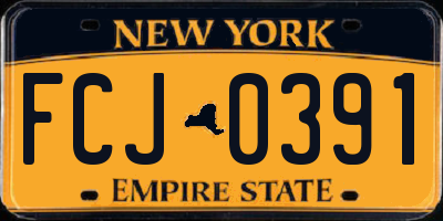 NY license plate FCJ0391