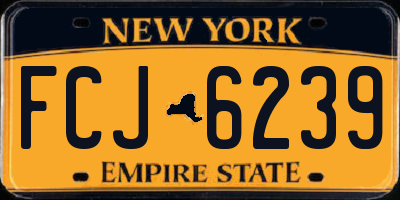 NY license plate FCJ6239