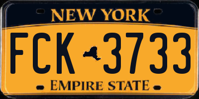 NY license plate FCK3733