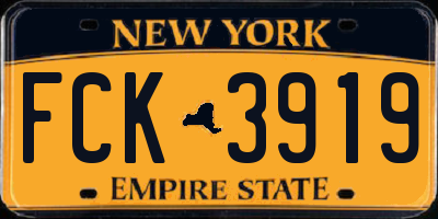 NY license plate FCK3919
