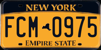 NY license plate FCM0975