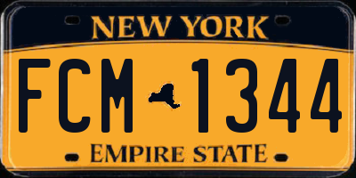 NY license plate FCM1344