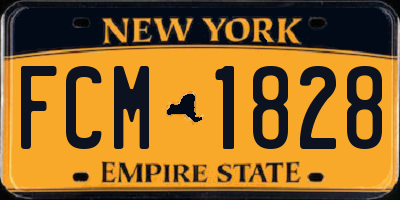NY license plate FCM1828
