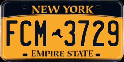 NY license plate FCM3729