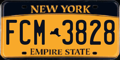 NY license plate FCM3828
