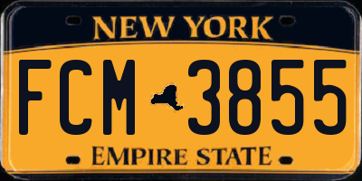 NY license plate FCM3855