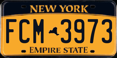 NY license plate FCM3973