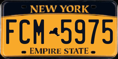 NY license plate FCM5975