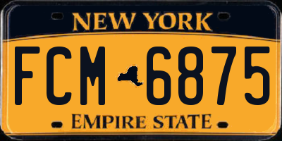NY license plate FCM6875