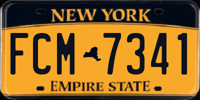 NY license plate FCM7341