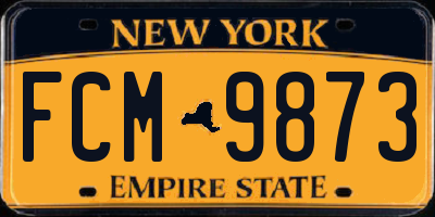 NY license plate FCM9873
