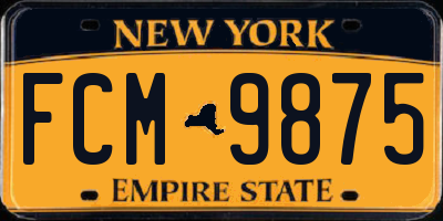 NY license plate FCM9875