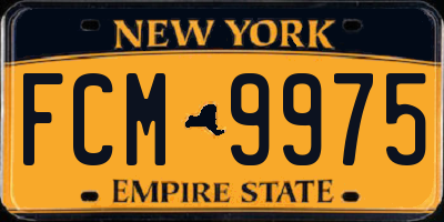 NY license plate FCM9975