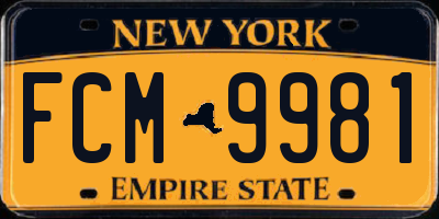 NY license plate FCM9981