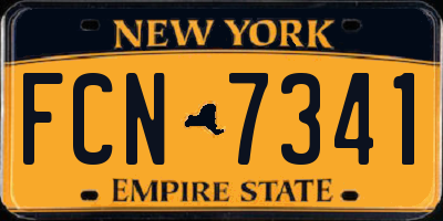 NY license plate FCN7341