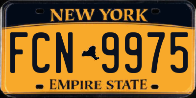 NY license plate FCN9975