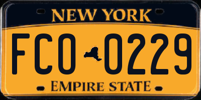 NY license plate FCO0229