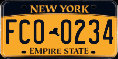 NY license plate FCO0234