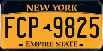 NY license plate FCP9825