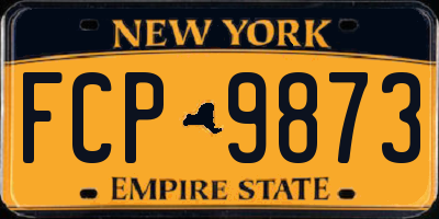 NY license plate FCP9873