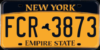 NY license plate FCR3873