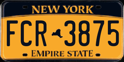 NY license plate FCR3875