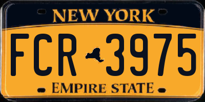 NY license plate FCR3975