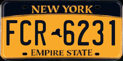 NY license plate FCR6231