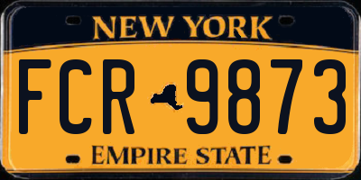 NY license plate FCR9873