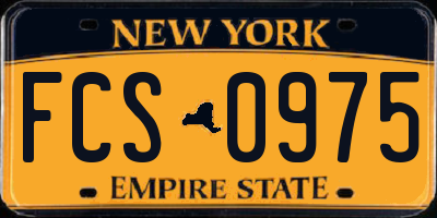 NY license plate FCS0975