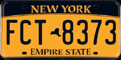 NY license plate FCT8373