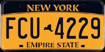 NY license plate FCU4229