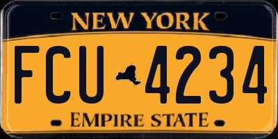 NY license plate FCU4234