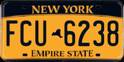 NY license plate FCU6238