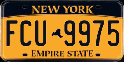 NY license plate FCU9975
