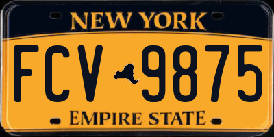 NY license plate FCV9875